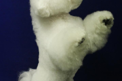 140903-charlie-sit-9-large