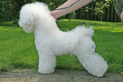 100605-cherie-profil-4