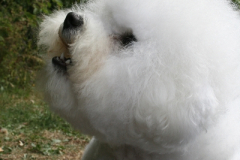 100729-cherie-head-3