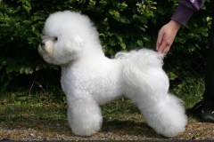 100729-cherie-profile-1