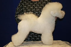 110319-cherie-profil-1-small