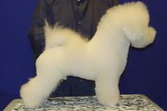 profil-3