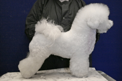 110504-emma-profil-1