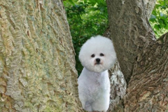 120908-emma-2-medium