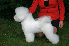 120908-emma-5-medium