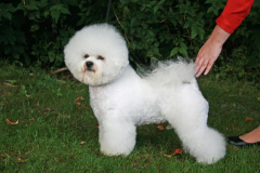 120908-emma-6-medium