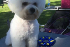 160904-oland-freya-2