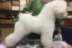 161007-freya-profil-2