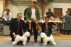 161009-herlufmagle-freya-bir-zeus-bim-2