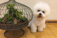 161009-herlufmagle-freya-bis4-2