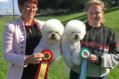 170910-tagarp-BIR-Teddy-BIM-Freya