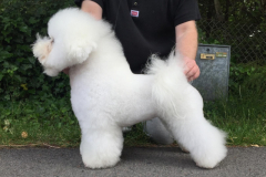 150628-lotta-profil-1