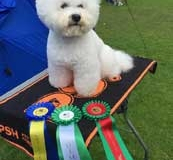 160703-boras-olle-champion-1-Large