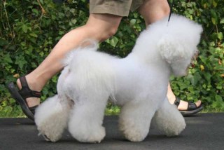 100729-wictor-move-1-large