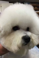 150726-zeus-head-3