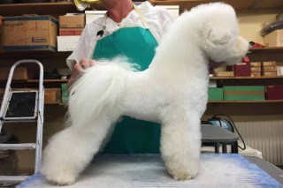 150726-zeus-profil-1