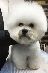 151129-zeus-head-1