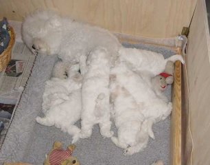 photo5