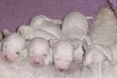 photo3