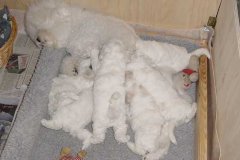 photo5