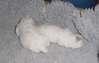 photo2