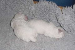 photo2