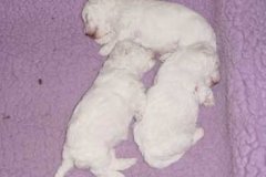 photo2