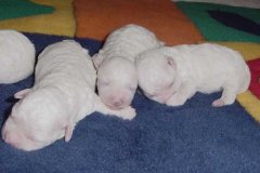 photo3