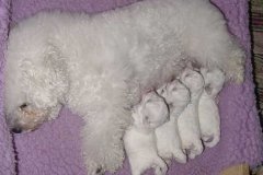 photo4