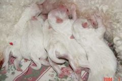 photo2