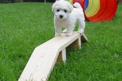 photo14