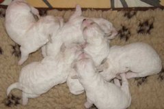 photo3