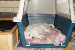 photo11