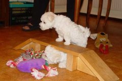 photo15