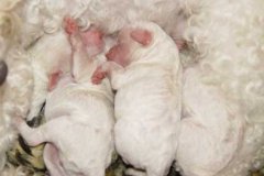 photo2