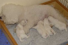 photo4