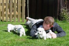 photo10