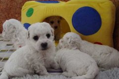 photo9