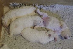 photo3