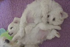 photo8