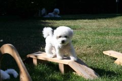 photo16