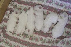 photo2