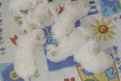 photo3