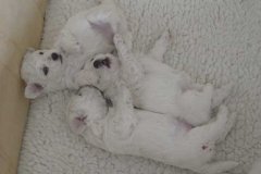 photo7