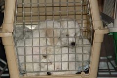 photo14