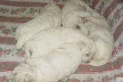 photo4