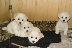 photo10