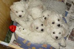 photo10