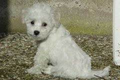 photo13