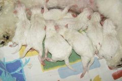 photo2